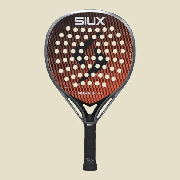 SIUX PEGASUS ELITE 4 2026