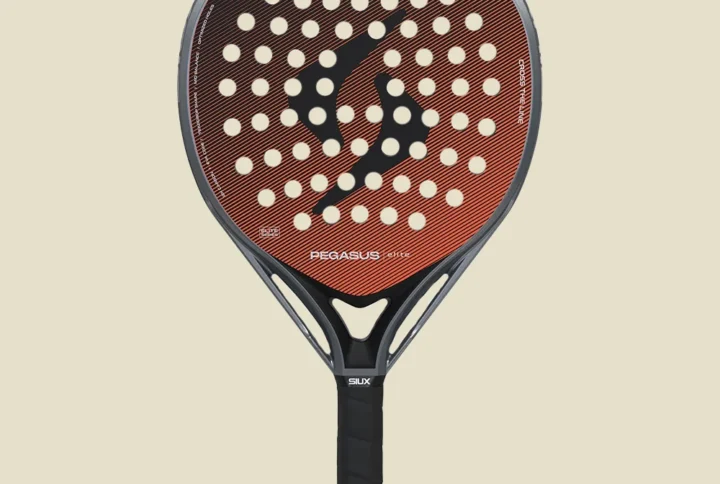 SIUX PEGASUS ELITE 4 2026